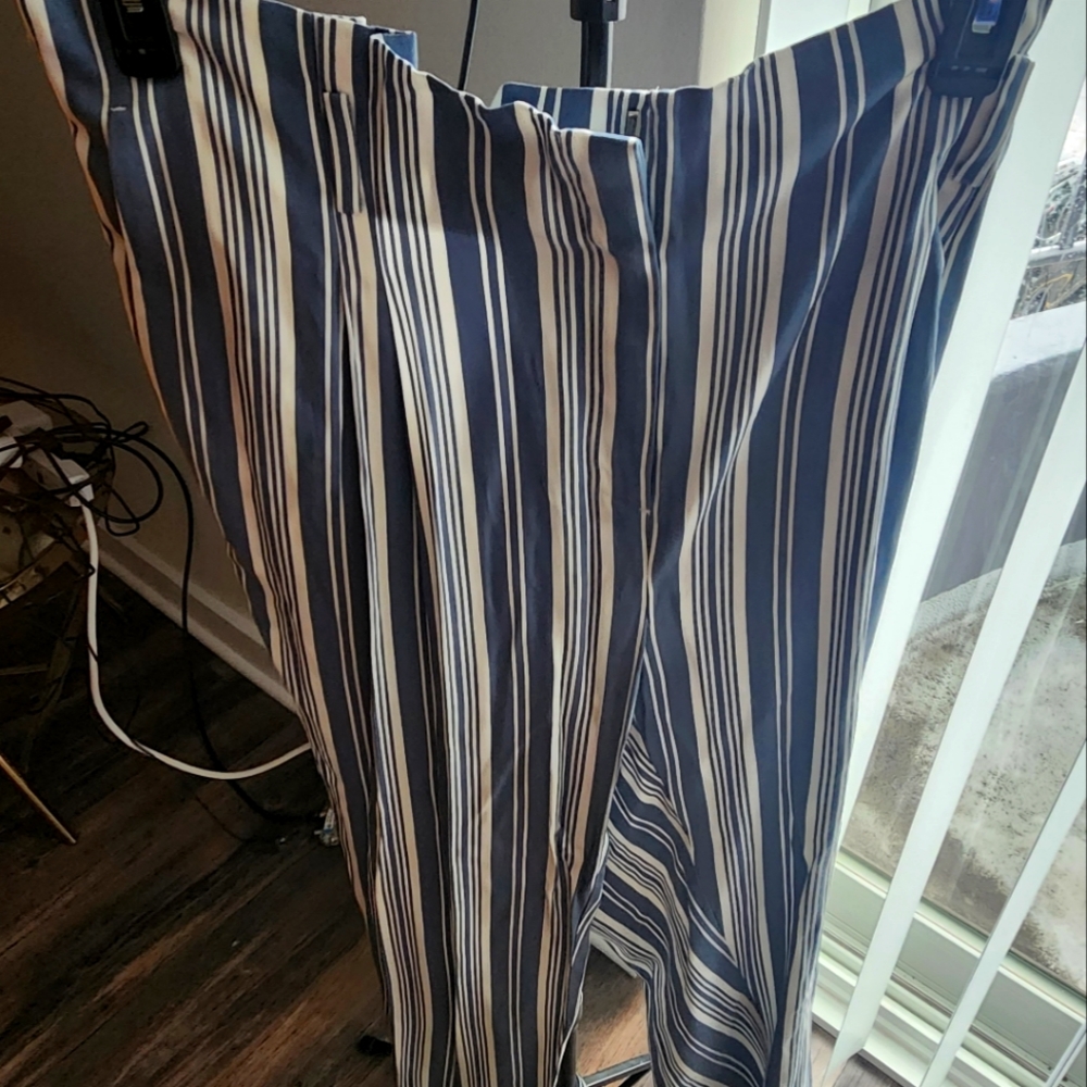 ANN Taylor Pants